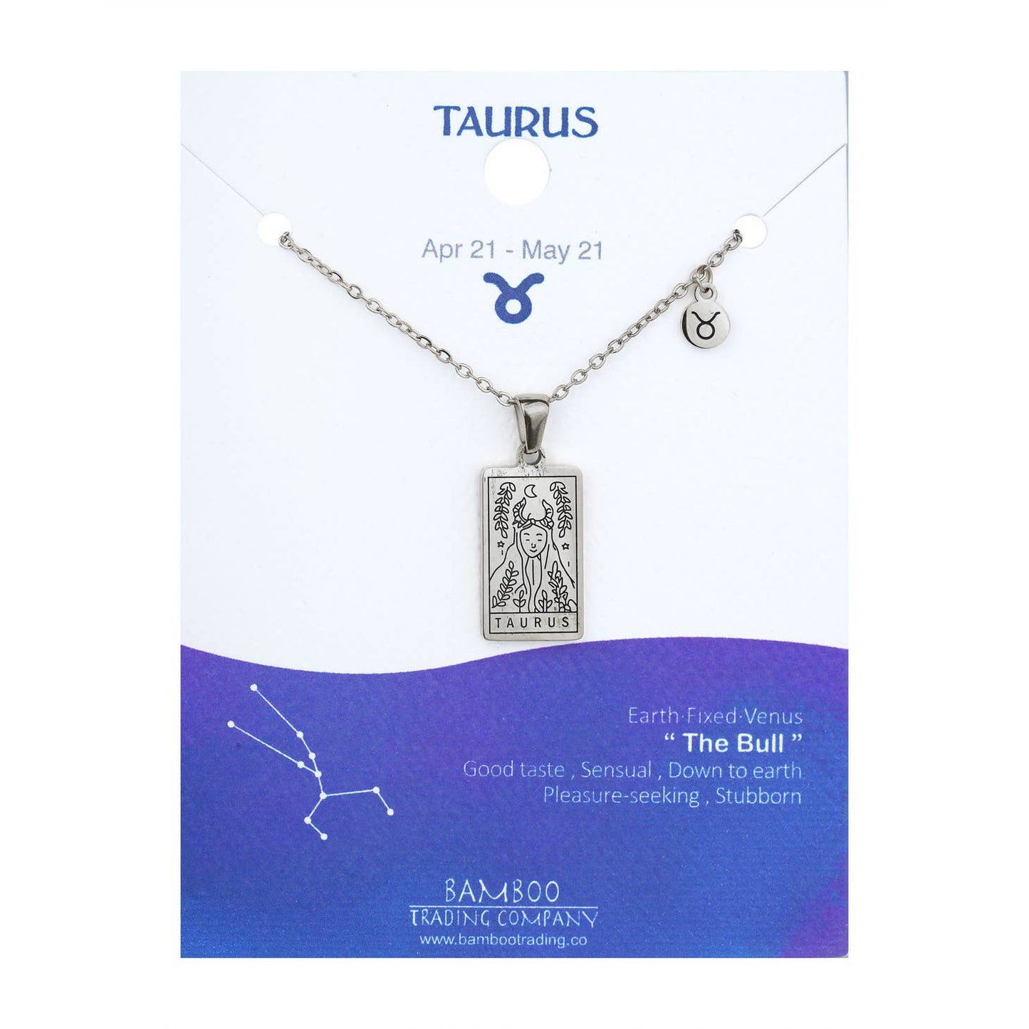 Zodiac Necklace Silver